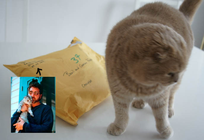 Peter Gethers or Russell Andrews, author and Random House Focus Features president. Cream yellow Scottish Fold cat with Norton books, The Cat who Went to Paris, A Cat Abroad, The Cat who Lived Forever.