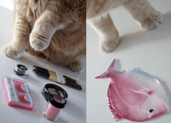 Cuberry makeup, compact powders, eyeshadows, brushes next to Scottish Fold cat's paws, big sideways short furry feet.