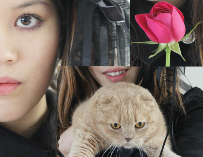 Goth makeup, dark purple eyeshadow. Moi meme moitie rose. Fat Scottish Fold Cat.