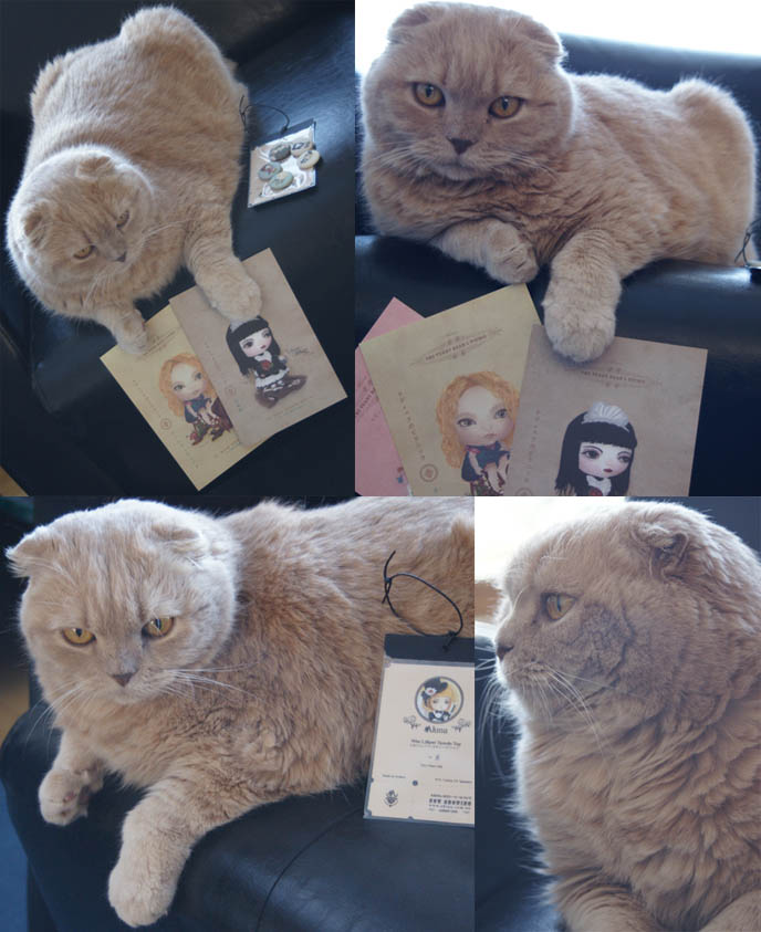 Trends in Japan, cool Japan character goods. Kawaii postcards, stationary, buttons. Gothic Lolita accessories.