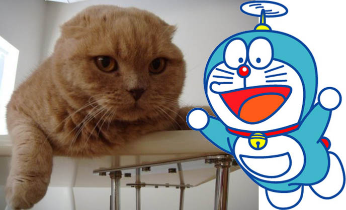 Doraemon, cute Japanese earless blue cat. Japan anime and tourism ambassador, TV character.