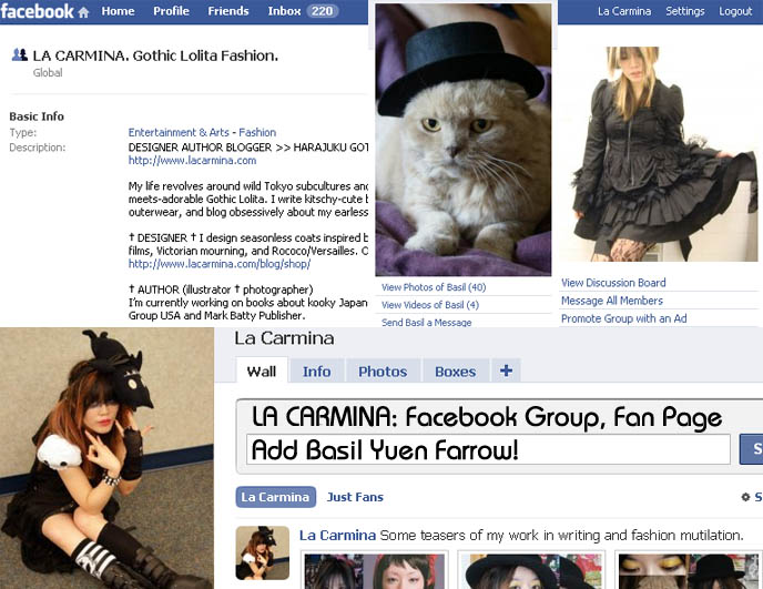 Facebook Group and Fan Page screenshot and profile. Cat Facebook page, social networking site for La Carmina Gothic Lolita.