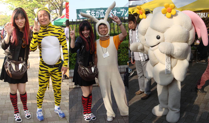 Cute Japanese mascots in costumes, big giant kawaii outfits, tight tiger outfit cosplay on Japanese man.