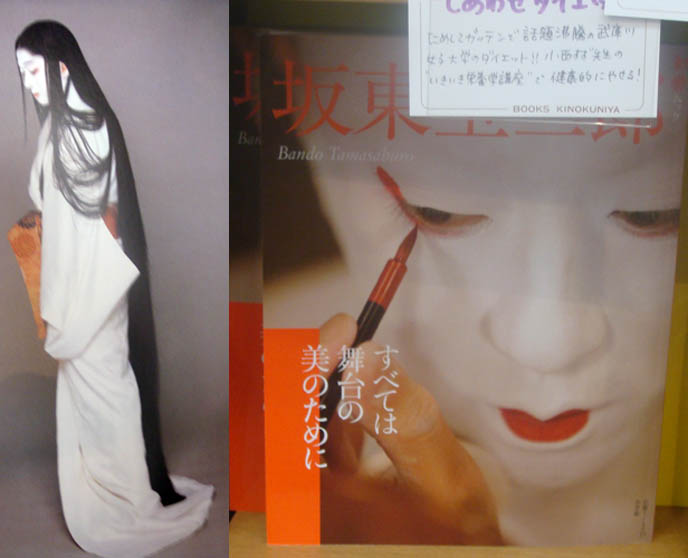 Kabuki makeup, costume design book by Bardo Tamasaburo. Tokyo kabuki plays, Japanese theater, onnagata female impersonator on stage plays. Beautiful kabuki and noh costumes, stage settings, geisha.