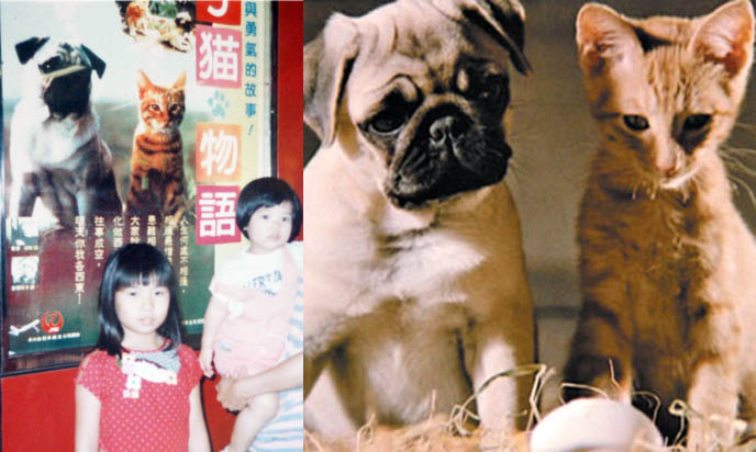 Milo and Otis, animal abuse in movies, live action pet films, animals, cat and dog Japanese movie, controversial