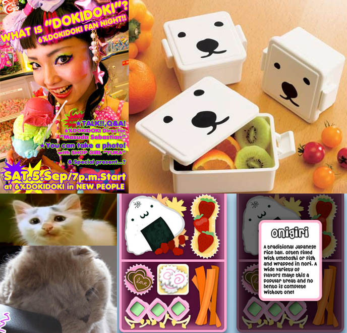 6% DokiDoki New People World fairy kei decora fashion event, polar bear face bento boxes, cute lunch kits, Japanese youtube cat kitten with eyebrows, obento iphone app, onigiri cute sushi graphic.