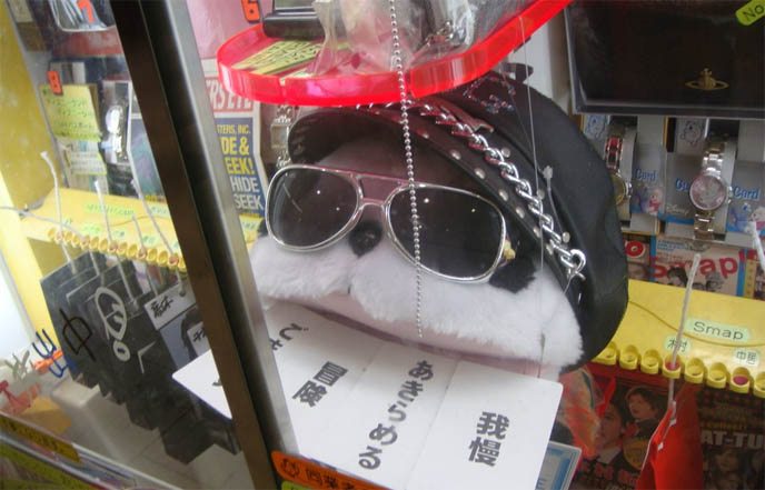Visual Kei music stores in Harajuku, J-rock and J pop idol photos, memorabilia in Tokyo japan, Visual kei hide, X Japan, Gackt merchandise, cds and souvenirs, rare vinyl, Nightmare Japanese band