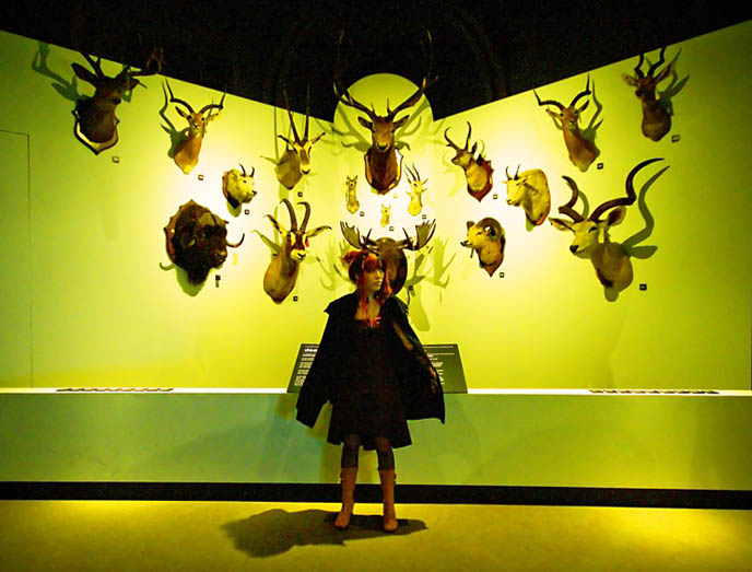stuffed deer heads, game animals, lime green painted walls, Vancouver Museum exhibit on stuffed animals, black peace now vampire cape, designer couture long black cape, goth macabre fashion, Taxidermy museum, Victoriana vintage home decoration, Doe Deere lime crime makeup, alternative Goth dress shopping and clothing, light purple lipstick, lavender lipsticks from Lime Crime, Gloomth gothic lolita dress, black long lace gloves, Asian retro vintage girlie photos.