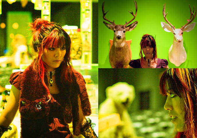 pink hair scene hairstyles, stuffed deer heads, game animals, lime green painted walls, Vancouver Museum exhibit on stuffed animals, purple cute kawaii cat scarf, goth macabre fashion, Taxidermy museum, Victoriana vintage home decoration, Doe Deere lime crime makeup, alternative Goth dress shopping and clothing, light purple lipstick, lavender lipsticks from Lime Crime, Gloomth gothic lolita dress, black long lace gloves, Asian retro vintage girlie photos.