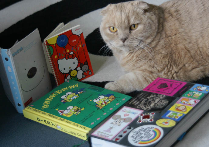 sanrio diary, hello kitty notebook, keroppi journal, CUTE JAPANESE STATIONERY, PENS, DIY WRAPPED PAPER BOOK COVERS. MIYAVI & VERSAILLES J-ROCK CONCERT IMAGES, visual kei bands performance photos, scottish fold cat, fat yellow pet kitten with yellow eyes, cutest cat Japan, wrapped textbooks, cool book protective covers