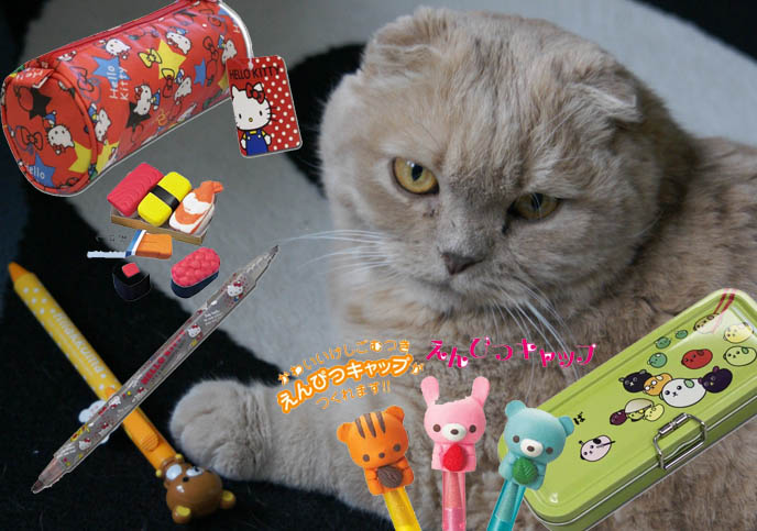 hello kitty pencil case, rilakkuma pen, cute animal erasers, sanrio diary, hello kitty notebook, keroppi journal, CUTE JAPANESE STATIONERY, PENS, DIY WRAPPED PAPER BOOK COVERS. MIYAVI & VERSAILLES J-ROCK CONCERT IMAGES, visual kei bands performance photos, scottish fold cat, fat yellow pet kitten with yellow eyes, cutest cat Japan, wrapped textbooks, cool book protective covers
