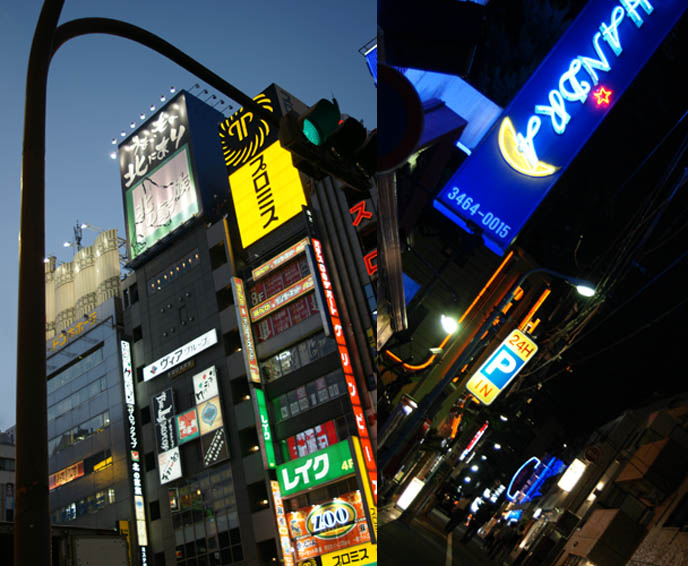 shinjuku at night, neon signs, tokyo streets busy, glowing signs, BLUE TOKYO: COOL NIGHTLIFE PHOTOGRAPHY. JAPAN AFTER DARK, GLOWING NEON LIGHTS, WALRUS & HIS BUCKET. jpop cosplay Japan, world's weirdest strangest restaurants