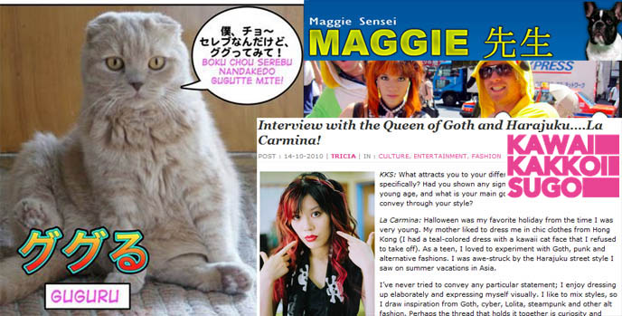 japanese language learning lessons, cat manga, japan cats cartoon anime, comic book, learn kanji, ググる guguru, kawaii blog, jpop tumblr gothic lolita cute nails, bentos, characters, scottish fold cat sitting