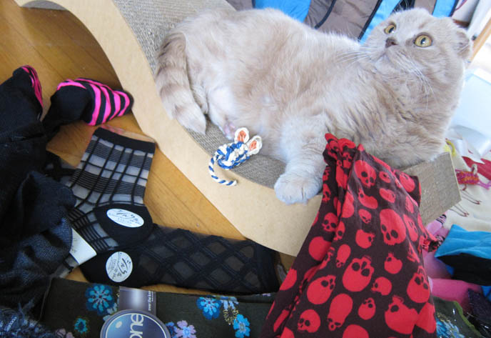 artisan socks cool tights socks knee highs japanese stockings hosiery 