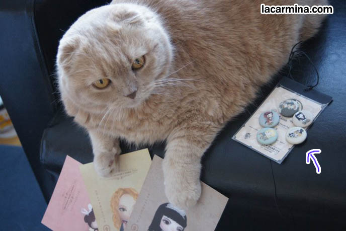 cute furry fat cat, Garfield pet cat, silly animals, yellow cat with giant paws, cute feet.