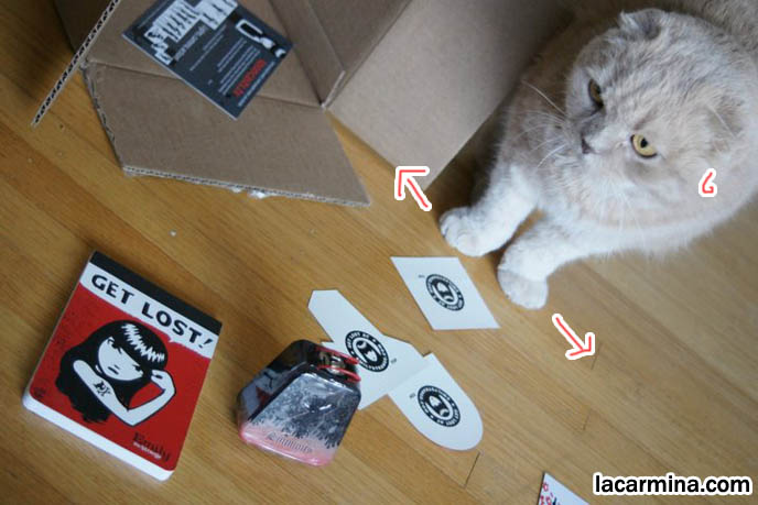 Basil Farrow, La Carmina and Mia Farrow's cat, sideways big feet baby tiger, curious LOLCAT photos