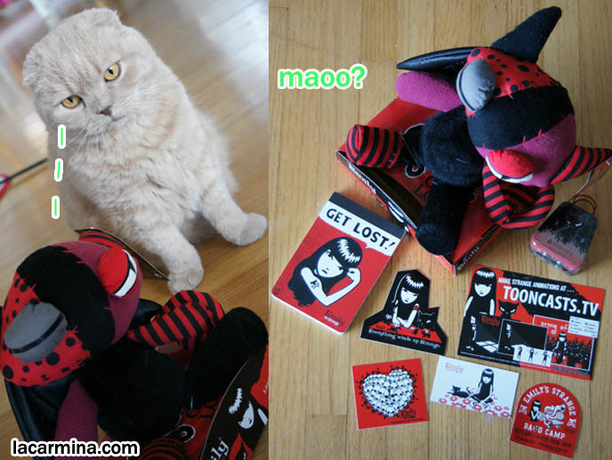 Funny cat photos, humor LOLCAT pictures, kitten toys, modern designer cat toys, spoiled pets