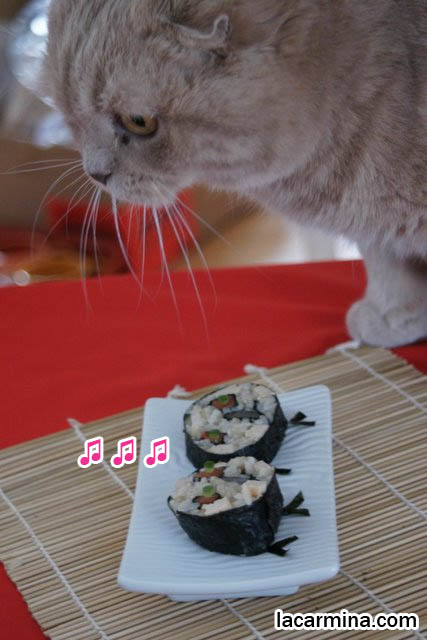 cute sushi rolls, sushi decorated like chicks, animals from japanese chef. Cooking cute, bento decoration, amazing weird crazy sushi, designer sushi trend in Japan. Cute yummy time cookbook by La Carmina, scottish fold cat