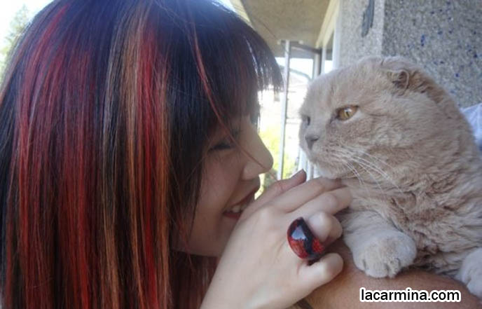 Famous celebrity pets, Farrow Scottish Fold, La Carmina holding pet cat, posing with pets, kitties in photoshoots, modelling with animals, how to hold cats. スコティッシュフォールド, 猫