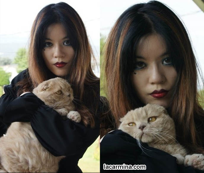 Famous celebrity pets, Farrow Scottish Fold, La Carmina holding pet cat, posing with pets, kitties in photoshoots, modelling with animals, how to hold cats. スコティッシュフォールド, 猫