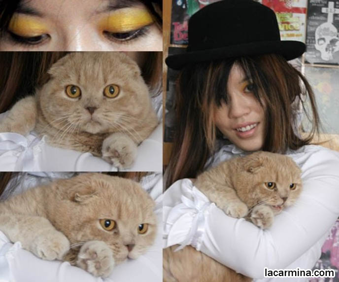 Famous celebrity pets, Farrow Scottish Fold, La Carmina holding pet cat, owners taking professional photos and posing with pets, kitties in photoshoots, modelling with animals, how to hold cats. Taming pets, makeup and cute clothes スコティッシュフォールド,  猫 