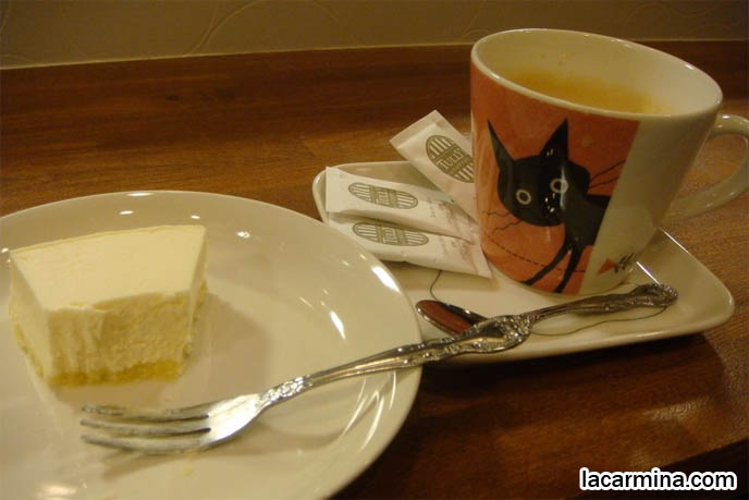 Scottish Fold cats in Japanese cat cafe, Shinjuku Tokyo Japan theme restaurants. All night manga cafes where you can pet purebred kittens. Orange Scottish Fold kittens, Japanese munchkin cats, cutest funny lolcats. スコティッシュフォールド, kawaii neko, cats 猫