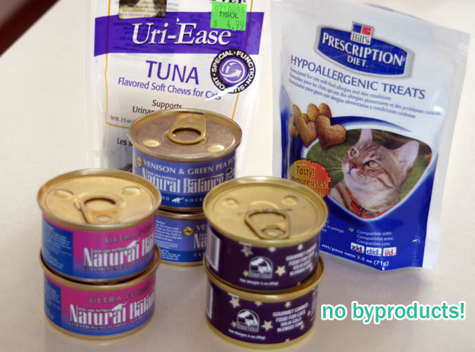 Natural Balance, Hill's Prescription Diet, WHAT TO FEED PET SCOTTISH FOLD CAT. BEST HEALTHY BYPRODUCT-FREE BRANDS OF CAT FOOD, DUST-FREE LITTER, WET & DRY FOOD, CATGRASS, cute cat eating from metal food bowls, lolcat photos, silly pet pose pictures, earless cat, fei mao mao, Famous celebrity pets, Farrow Scottish Fold, スコティッシュフォールド, 猫