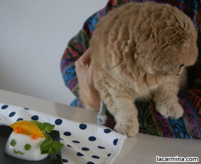 cute desserts with faces, kawaii food, character bentos charaben, cute yummy time, FAT SCOTTISH FOLD CAT SNIFFING FOOD ON TABLE, HUNGRY CAT PHOTOS, SHORT LEGS & TAIL WAGGING PET KITTY PHOTOS.CAT WITH SHORT NOSE AND SMALL FLOP-EARS, BIG EYED KITTY. PROFESSIONAL PET PHOTOGRAPHY, funny Basil Farrow, Ronan and Mia Farrow, hair and fur colors and patterns, pet humor, Scottish Fold cat photos, coupari, what to feed purebred flop eared cats, behavior and personality, funny cute LOLCAT pet photos, silly pet pictures, earless cat, floppy eared scottish folds, playing with pet scottish fold cats, pet cat medical care スコティッシュフォールド,  猫 