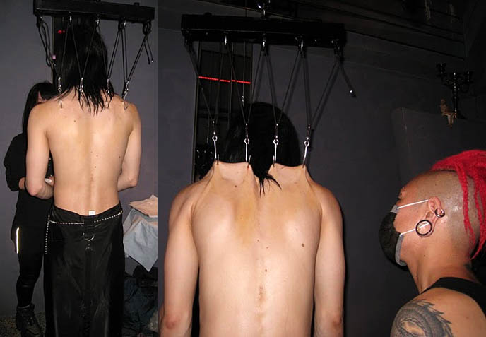 extreme pierced. goth extreme piercings,