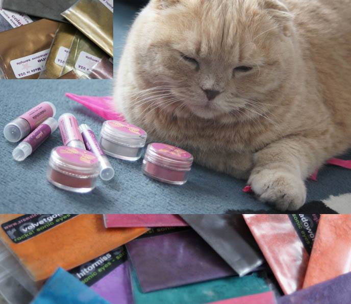 Aromaleigh electro bright neon makeup. Cute Scottish Fold cat, fat yellow cat with closed eyes sitting on bag. Mineral powder makeup, rainbow colors.
