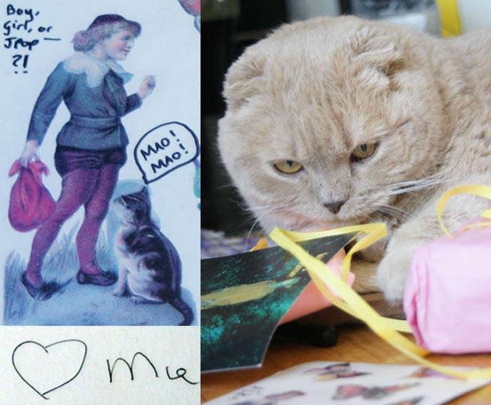 Mia Farrow autograph, signature of Rosemary's Baby actress, Scottish Fold cat, yellow ribbon, Nintendo DS lite in rose metallic pink color, Phoenix Wright Ace Attorney video game for Nintendo DS, pink wrapping paper, cute pet cat birthday party.