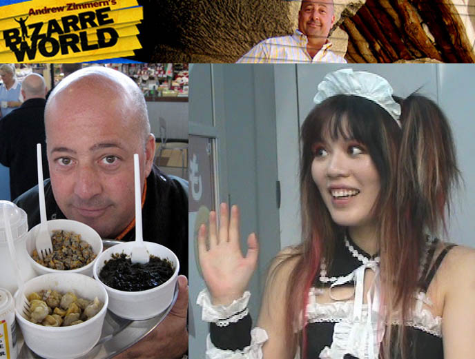 Andrew Zimmern Bizarre World show on Travel Channel, Bizarre Foods, Travel TV show Tokyo, subcultures, eating grossest weirdest food in the world, Anthony Bourdain, Japanese cute girl in maid outfit costume cosplay.